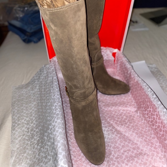 NIB Coach A7284 Suede Robynn Heeled Boots in Flint Goldtone Hardware Sz 9 $528 - Picture 2 of 10